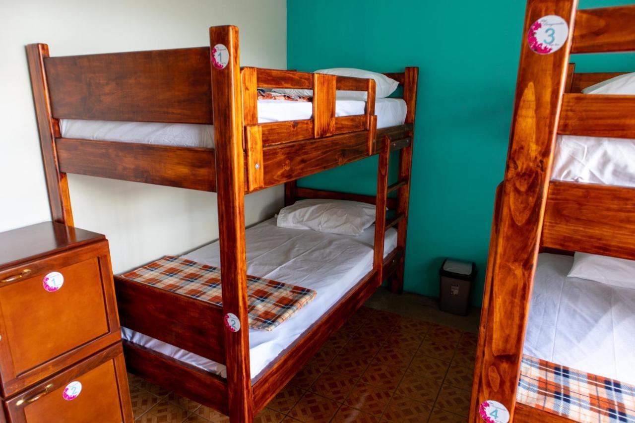 San Ramón Hostel Bouganvilia Bed And Breakfast מראה חיצוני תמונה